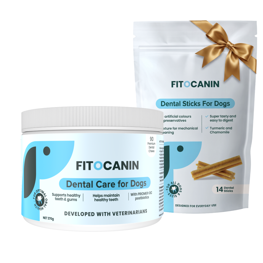 Dental Forte + GRATIS Dental sticks