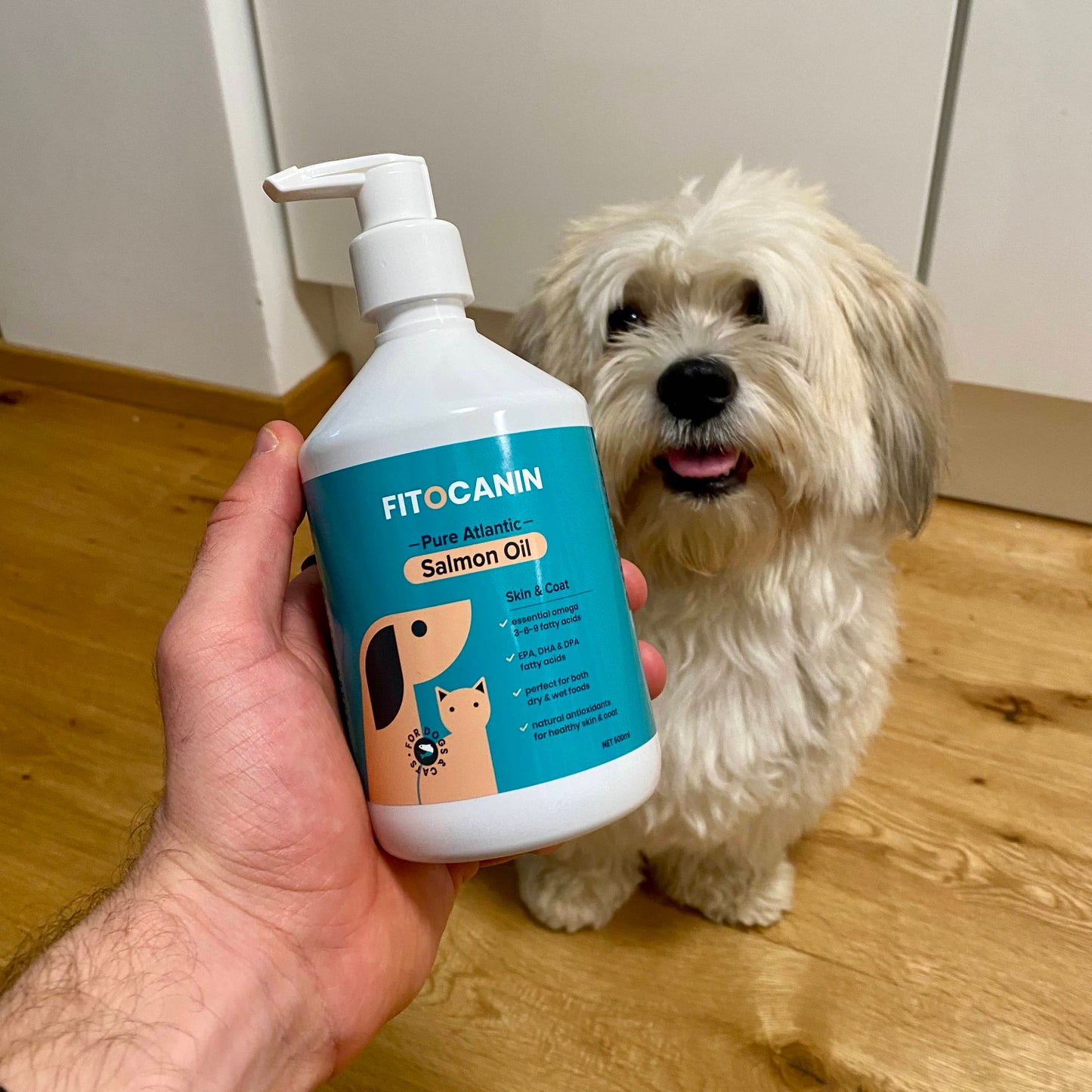 Salmon oil