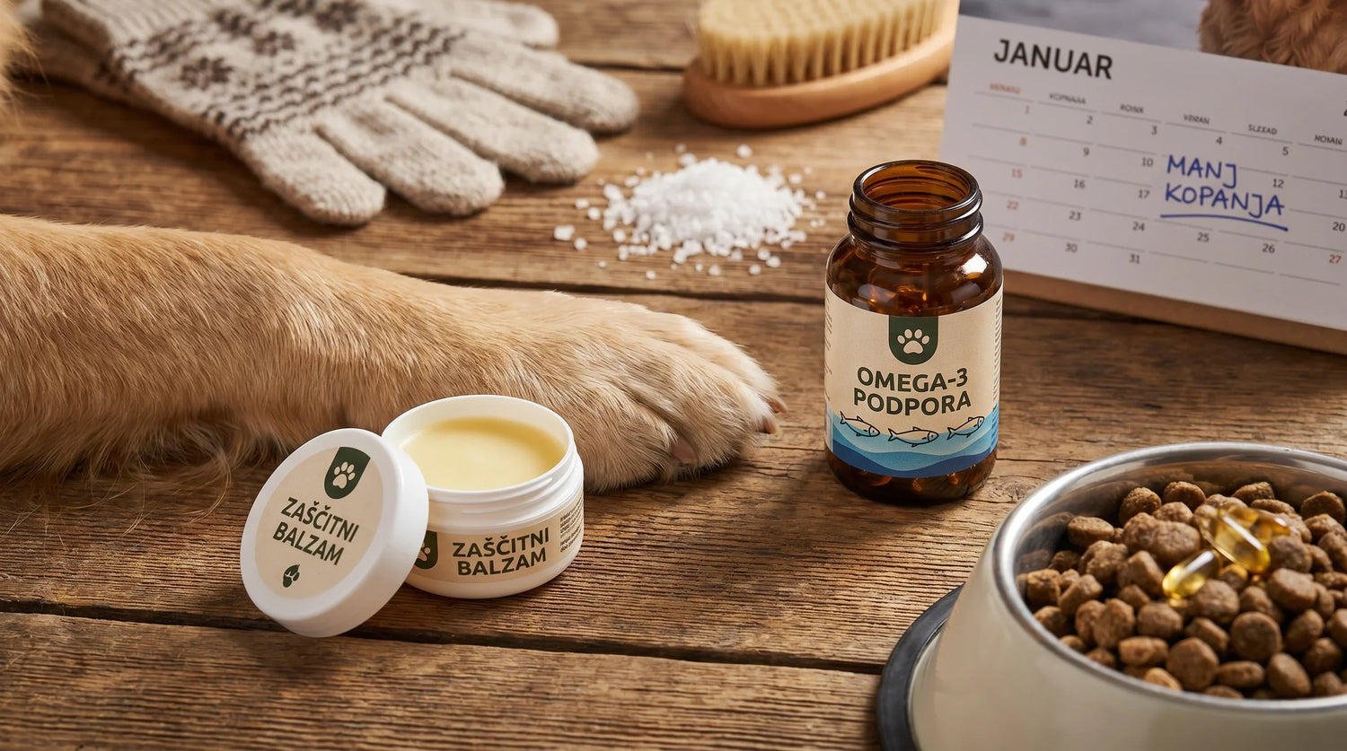 Suha koža pozimi pri psu: zaščita blazinic, vlaženje in omega‑3 podpora