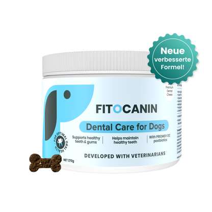 Dental Forte