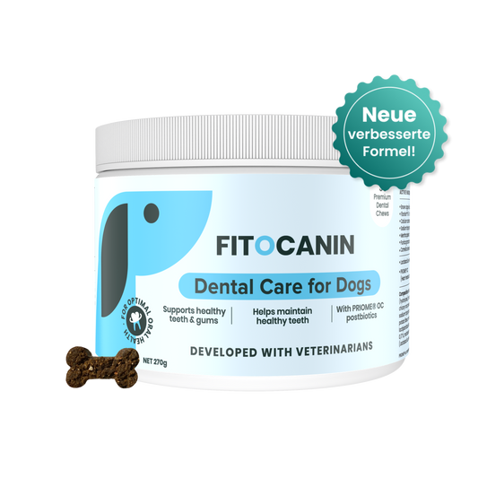 Dental Forte