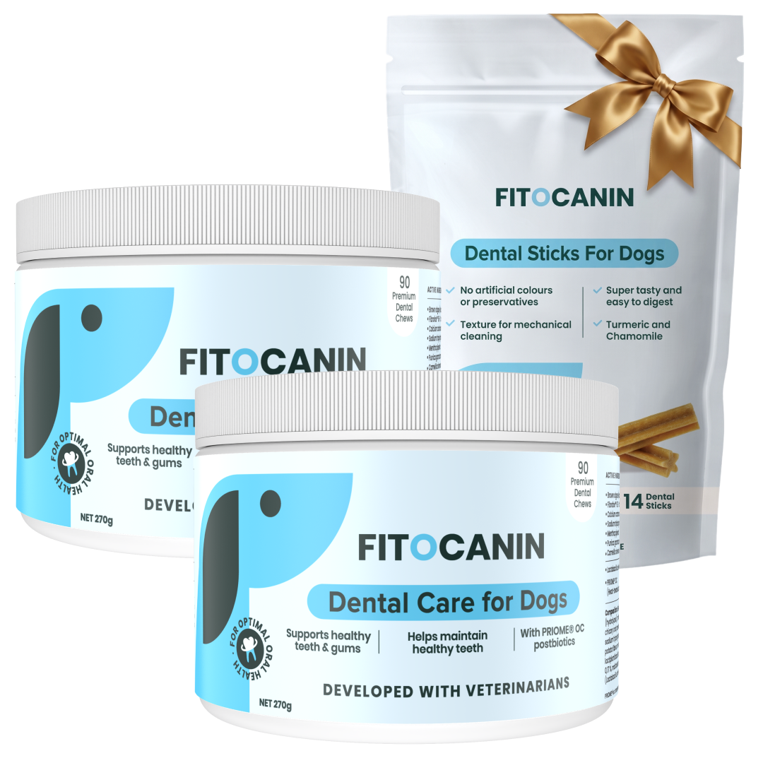 2x Dental Forte + Dental Sticks