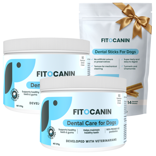 2x Dental Forte + Dental Sticks