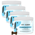 4x Dental Forte