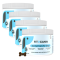 4x Dental Forte