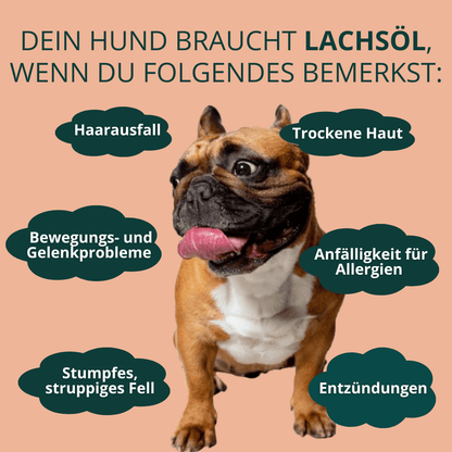 Lachsöl