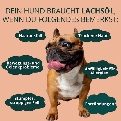 Lachsöl