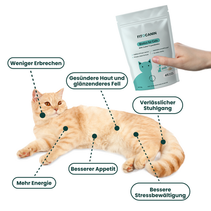 Feline Biome Forte