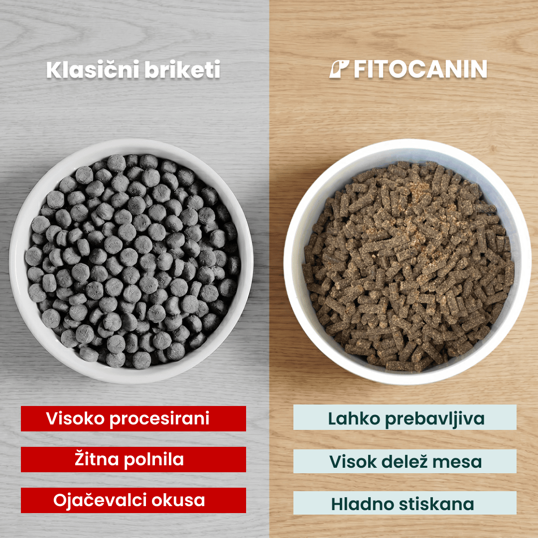 Fitocanin Adult+
